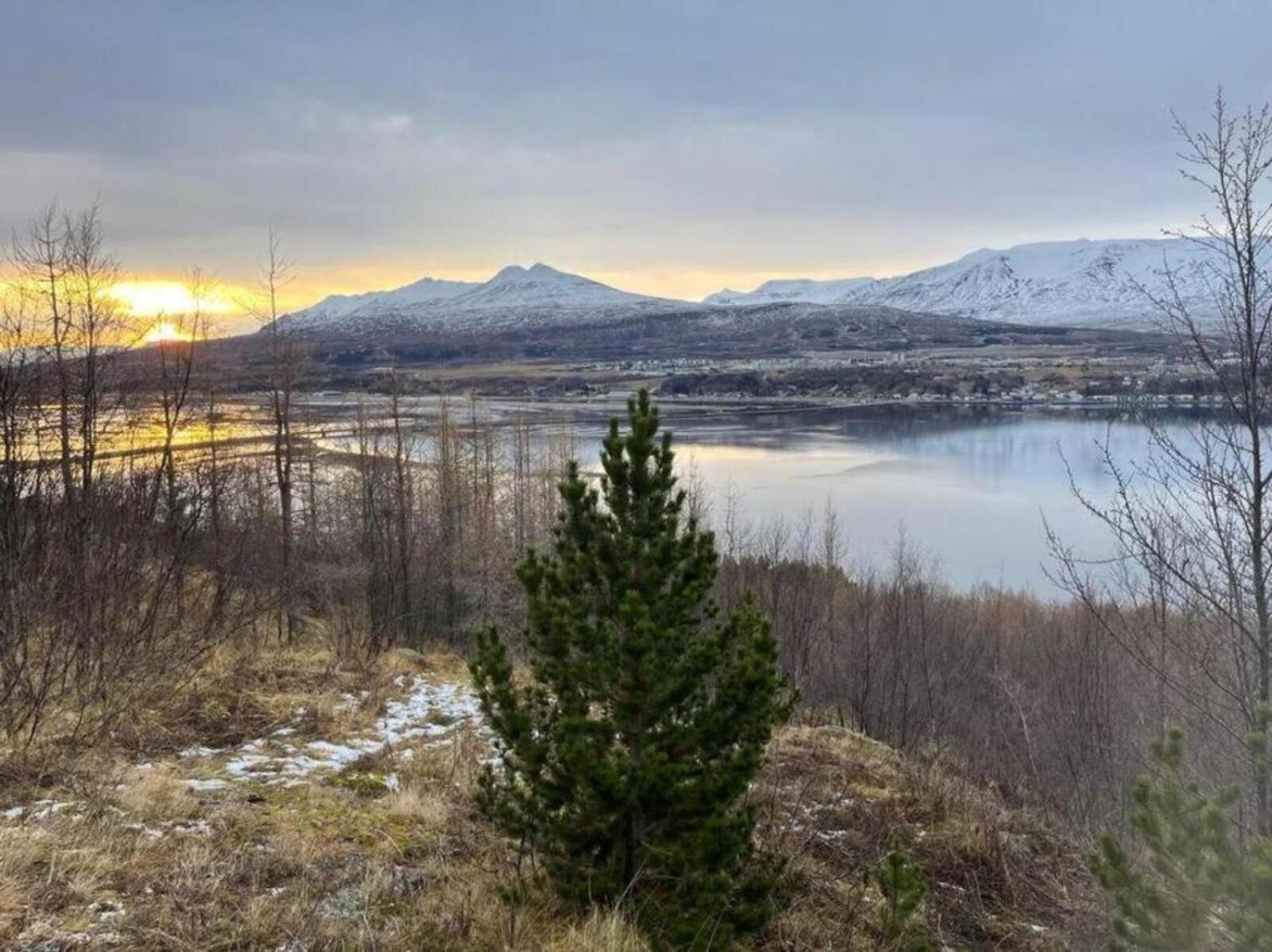 Cozy 2 Bedroom Cottage With Hot Tub Akureyri Bagian luar foto